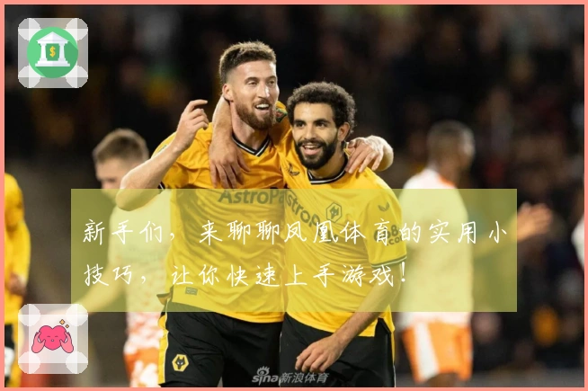 新手们，来聊聊凤凰体育的实用小技巧，让你快速上手游戏！